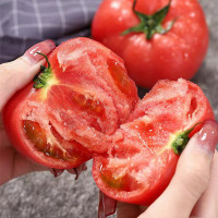 希礼盛新疆吐鲁番沙瓤西红柿净重4.8-5斤装(12-14颗)精品礼盒