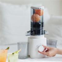 欧莱克(olayks)原汁机 家用小型榨汁机汁渣分离 全自动多功能冷压炸果汁果蔬机渣汁分离OLK-LJ01 白色/台