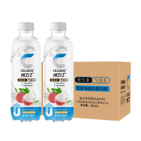 燃力士 气泡水 480ml*6瓶/箱(荔枝海盐白茶)