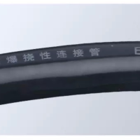 时亿 防爆软管 DN2