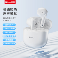 新科/Shinco 真无线蓝牙耳机 GT12