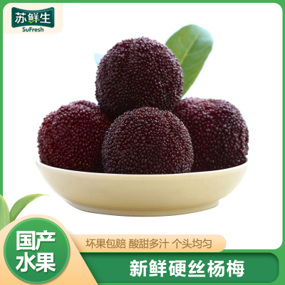 [苏鲜生]浮宫早杨梅 硬丝杨梅 5板 单果14g以上 300g/板 新鲜水果 酸甜可口
