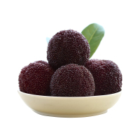 顺丰空运[西沛生鲜]浮宫早杨梅硬丝杨梅 净重5斤 新鲜水果 酸甜可口 西沛