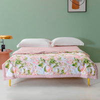 博洋宝贝 全棉空调被-爱丽丝