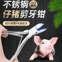 剪牙钳不锈钢12cm