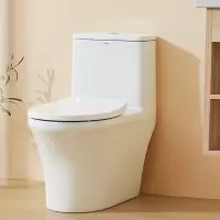 箭牌(ARROW)马桶大冲力家用虹吸坐便器节水坐便器