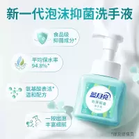 鲜果薄荷泡沫抑菌洗手液255g