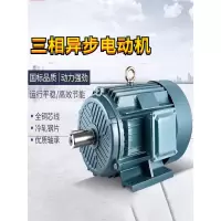XinDaLi 新大力电机 交流电动机 YE3-100L-2/3KW