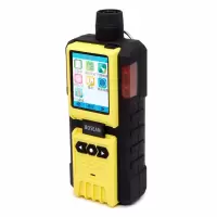 气体检测仪器 保时安 K-600