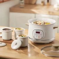 九阳 (Joyoung) 九阳电炖锅DG25G-GD833