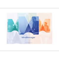 MindManager Professinal 简体中文 企业单机版