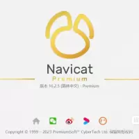 Navicat for mysQL 企业版 永久许可