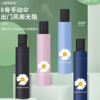 FILBERT 三折手开小雏菊