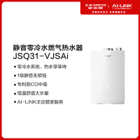 [代销]A.O.史密斯燃气热水器JSQ31-VJSAi