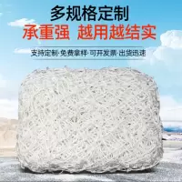 安全平网建筑工地防坠网楼顶阳台防护网白色兜网阻燃尼龙 阻燃5cm网孔 单位/平方米