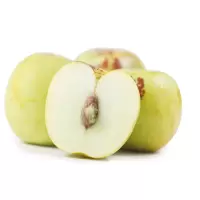 大青枣(新鲜)