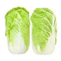 奶白菜(新鲜)