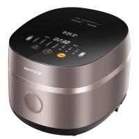 九阳 (Joyoung) 铁釜电饭煲F-40TD02