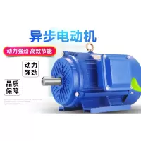 SXDJ 异步电动机 交流电动机 YE3-100L-2/3KW