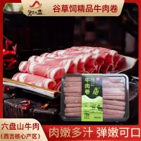货出六盘 宁夏西吉县谷草饲喂养 六盘山牛肉 精品黄牛牛肉卷250g*4