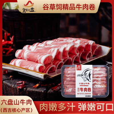 货出六盘 宁夏西吉县谷草饲喂养 六盘山牛肉 精品黄牛牛肉卷250g*4