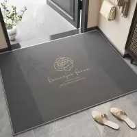 潮牌地垫入户门垫高级感防滑脚垫小香风进门口地毯玄关可裁剪垫子