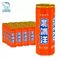 北冰洋饮料 桔汁汽水碳酸饮料老北京汽水330ml*12听