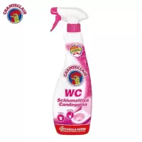 大公鸡管家马桶清洁剂(漂白)625ml*1