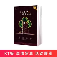 单面折叠展架KT板(拂光细支)