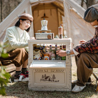 NatureHike挪客收纳箱凌越S PP折叠浅米灰/50L CNH22SN019