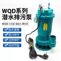 绿美之星水泵污水泵220V抽水泵 0.75KW
