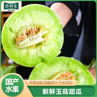 [苏鲜生]新鲜玉菇甜瓜 净重2.5-3斤 1-2个 蜜瓜香瓜 当季甜瓜新鲜水果1