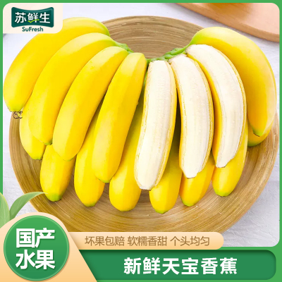 [苏鲜生]福建天宝香蕉5斤箱装 新鲜当季水果 香甜软糯 孕妇宝宝辅食1