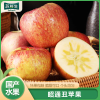 [苏鲜生]云南昭通苹果 净重9斤 大果 25个左右 新鲜应当季水果整箱时令丑苹果1
