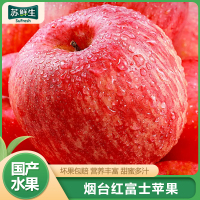[苏鲜生] 山东烟台红富士 当季水果 5斤 大果 10-12个 脆甜可口1