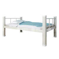 鑫星奈 XXN4032607 钢制型材床单层床员工宿舍床学生公寓床 单层床900宽白