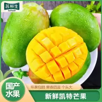[苏鲜生] 新鲜凯特芒果 净重3斤 中果 单果250g左右 当季整箱新鲜现摘热带时令水果甜心芒应季水果1