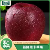 [苏鲜生]顺丰快递 云南昭通黑卡苹果 净重4.5斤 单果80-85mm 黑钻苹果1