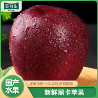 [苏鲜生]顺丰快递 云南昭通黑卡苹果 净重4.5斤 单果85mm以上 黑钻苹果1