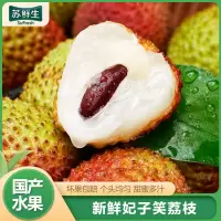 [苏鲜生] 顺丰冷链 海南妃子笑荔枝 新鲜水果 甜美多汁 净重2.5斤 单果20g左右1