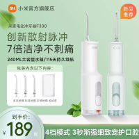 小米(MI)电动冲牙器 F300 米家原装便携式家用水牙线口腔洁牙立式洗牙器官方正品旗舰店