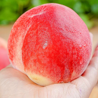 [熊猫鸟]山西新鲜蜜桃 净重4.5斤 新鲜桃子当季现摘整箱毛桃子油脆甜桃大果