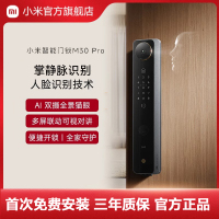 小米(MI)智能门锁M30Pro 指纹掌静脉识别 人脸识别 AI双摄全景猫眼 全自动指纹锁远程连接查看电子锁密码锁防盗门