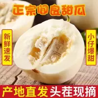 现摘现发时令水果陕西阎良甜瓜9-10斤整箱套装