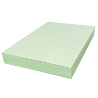 天章 (TANGO)A4浅绿色打印纸 80g彩色复印纸 a4打印纸凭证用 淡绿色卡纸 A4彩纸 手工折纸 2500页/箱