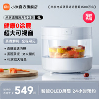 小米(MI)电饭煲 4L 米家透明可视蒸汽电饭锅家用1-2人/3-4个人智能多功能煮饭锅 智能预约 不粘锅玻璃内胆大容量