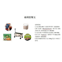 福利套餐五(粽子随机+榨汁机+折叠车烧烤炉保温箱)