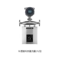 首科实华(SINCERITY) 质量流量计 DMF-1-U15NA40AFBAABIACAA