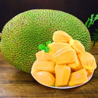 [熊猫鸟]海南红肉菠萝蜜 新鲜水果 香甜可口 1个 12-14斤装 熊猫鸟水果1