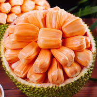 [熊猫鸟]海南红肉菠萝蜜 新鲜水果 香甜可口 1个 20-22斤装 熊猫鸟水果1